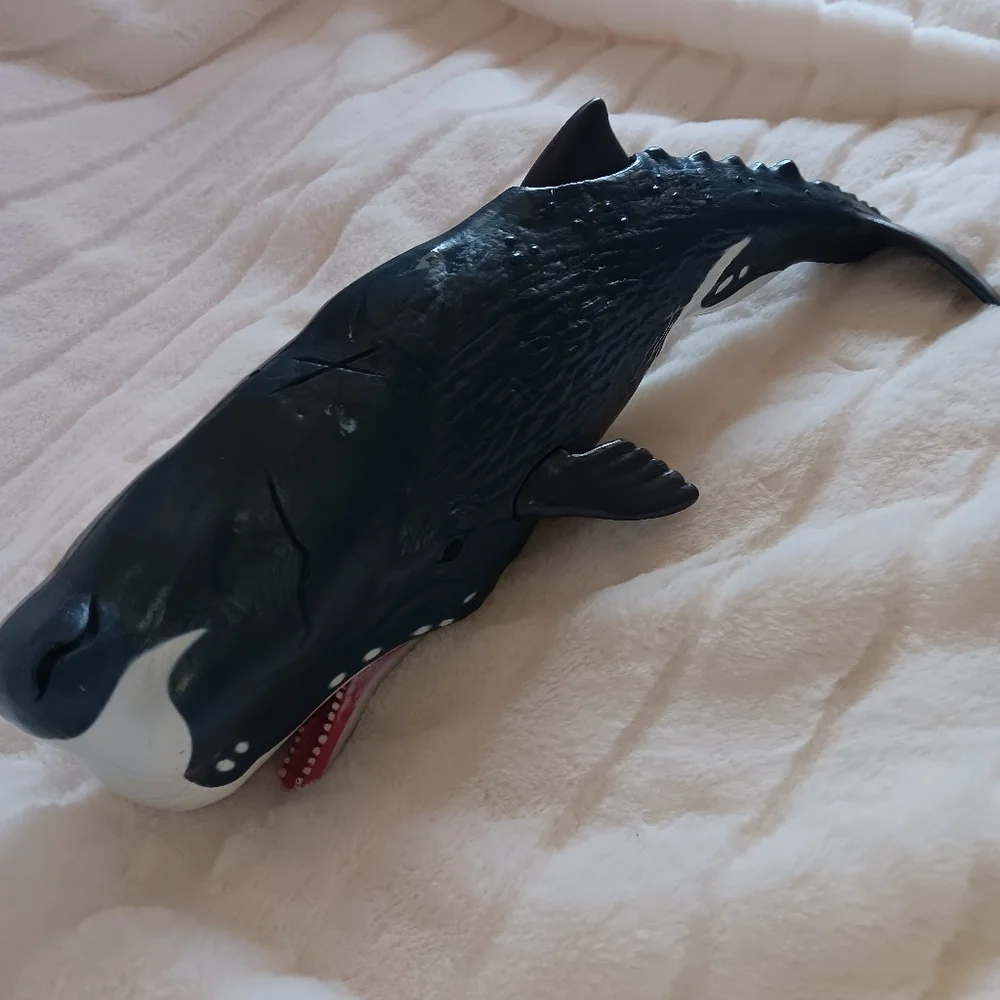 Whale big whale 14